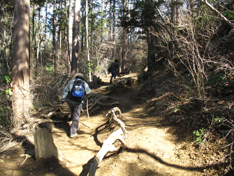 20160226hike (96)